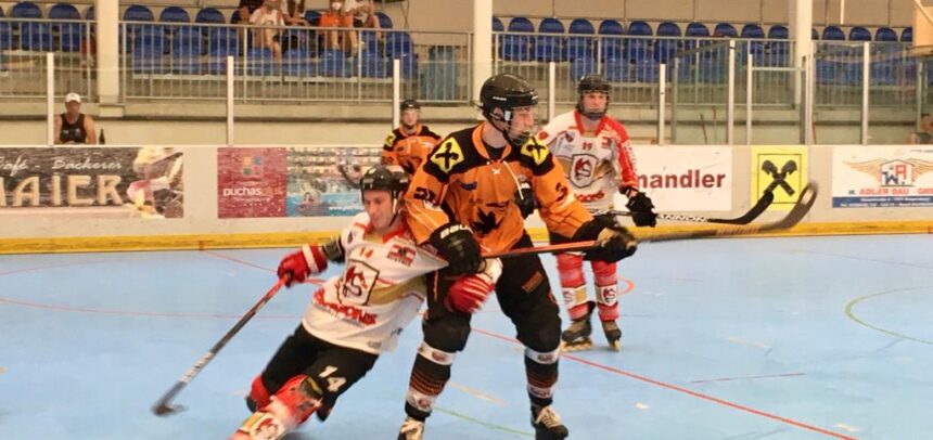 Tigers weiterhin auf Playoff-Kurs